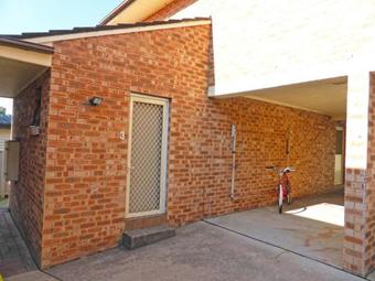 Dolphins Delight @ Culburra Beach