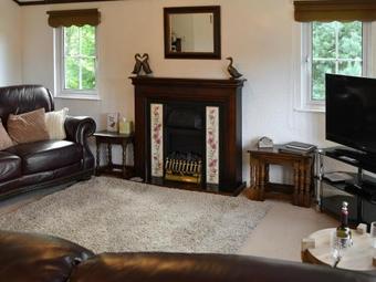 Pine Tree Lodge
