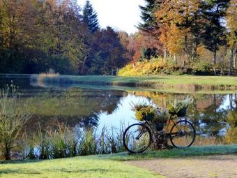 Apartamento Studio Rue De Gouhenans