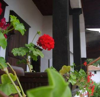 Hostal Guest House Konsulato