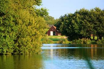 Brook Meadow