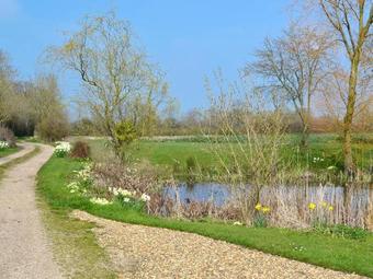 Honeypot Cottage
