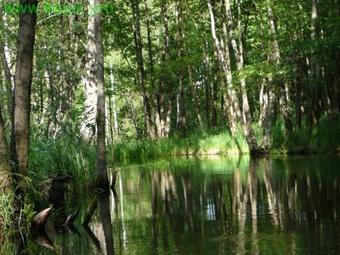 Hotel Natur Sport