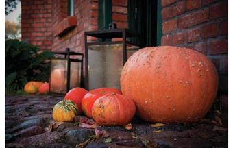 Holiday Home Wolin Unin