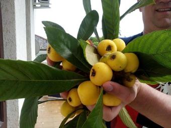 Hostal De-sabua Guest House