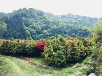 Agroturismo Huakun Tourist Country House Xiaohei Mountain Branch