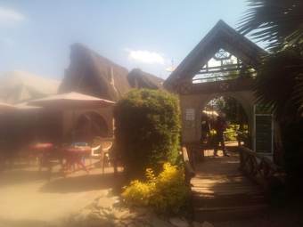 Hotel Roots Resort