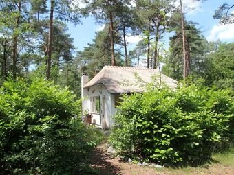 Ver fotos