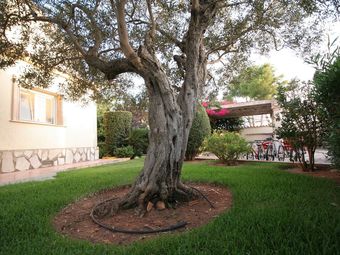 Luxurious Villa With Private Pool In Les Rotes