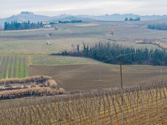 Attractive Holiday Home In Fontanile With Garden And Barbecue