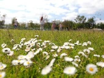 Modern Lodge With Two Bathrooms, 1 Km. From The Beach