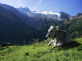 Modern Apartment In Strass Im Zillertal Near Ski Slopes