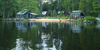 Birches At Gilmore Camps On Kezar Lake