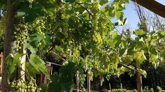 Agroturismo Il Casaletto