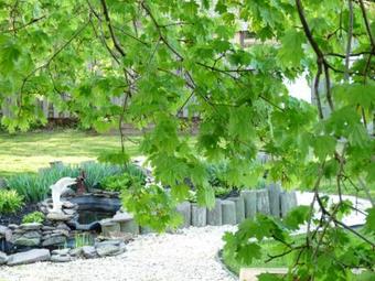 J. D. Thompson Inn Bed And Breakfast