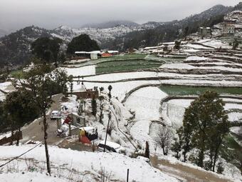 Hotel Blossom Bliss Resort