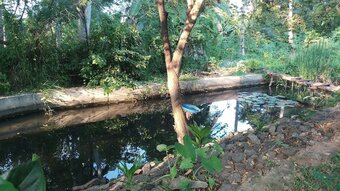 Hotel Ruwinsons Canal Garden