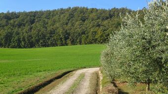 C� Del Bocca Apartments