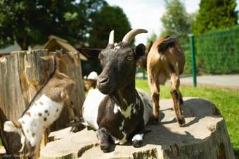 Apartamento Appartement Am Hohenbusch