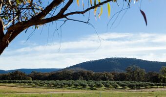 Eco-luxe @ Mount Avoca