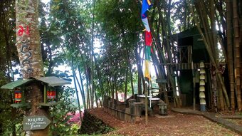 Hotel Dhardo Retreat & Resort