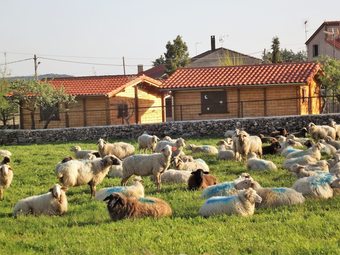 Apartamentos Caba�as De La Romedina