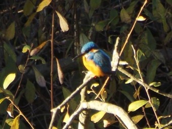 Cabana Fishing Lake In France