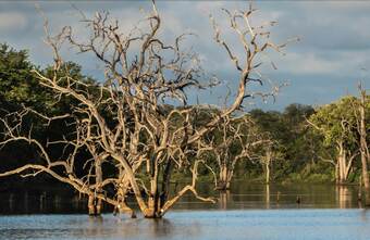 Posada Abelana River Lodge