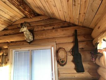 Posada Wrangell Mountain Lodge