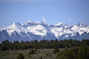 Bed & Breakfast Chimney Top Acres