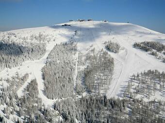 Cabana Upscale Holiday Home In Bodensdorf With Wellness & Sauna