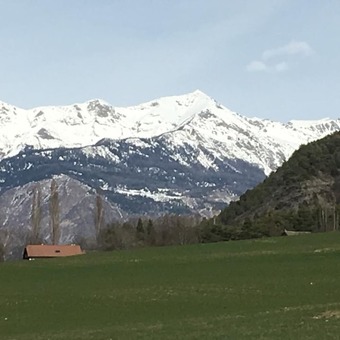 La Forge