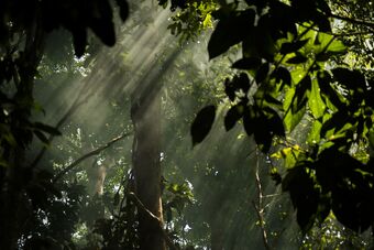 Hostal Belum Adventure Camp