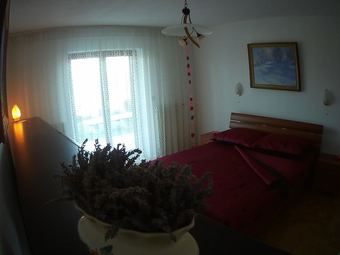 Hotel Green Point
