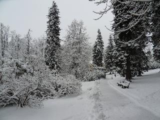 Hotel Spa Resort Libverda - Villa Friedland