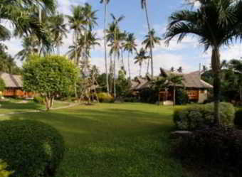 Hotel Pura Vida Beach And Dive Resort