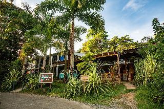 Hotel Selina Red Frog