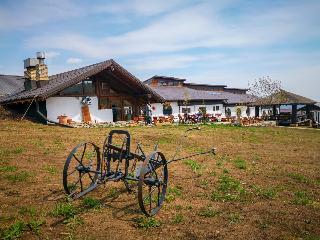 Hotel Ferma Dacilor