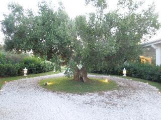 Hotel Masseria Magli Resort