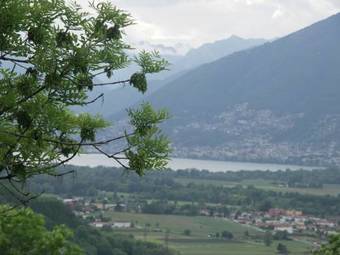 Bed & Breakfast Agriturismo Viva Bacco