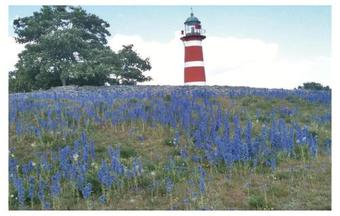 Holiday Home N�r Gangvide St�nga III