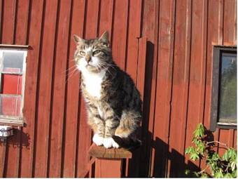 Torkel J�nsg�rd Bed & Breakfast