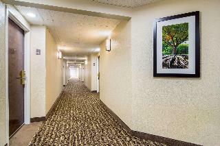 Hotel Comfort Inn