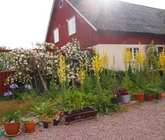 Augustas Bed & Breakfast