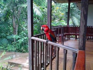 Hotel Tarantula Hostel