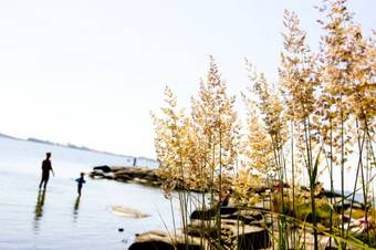 Apelvikens Camping & Cottages