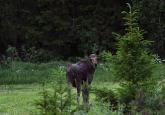 Edens Garden Bed & Breakfast