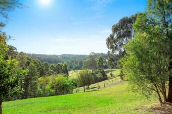 Braeside Cabin Two - Alphitonia