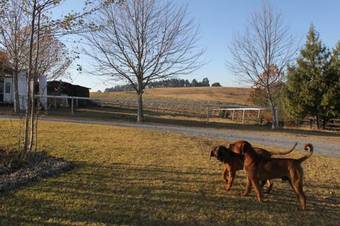 Agroturismo Midlands Inverness Cottages