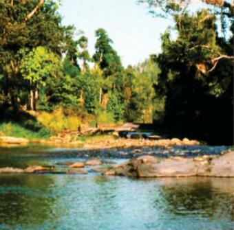 Bed & Breakfast Paradise Eco Unit